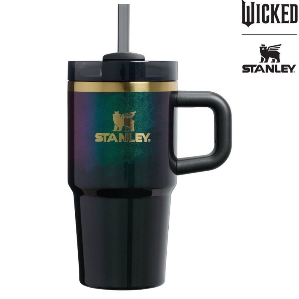 Stanley Wicked 2025 Elphaba for Good 20oz Flowstate Quencher Tumbler LE NWT SO - Picture 4 of 7
